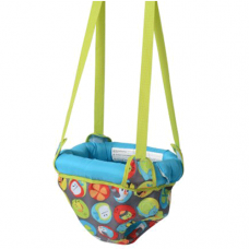 Exersaucer gone best sale fishing door jumper